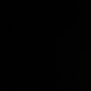 Meet your Posher, Elma